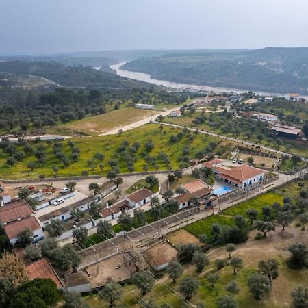 Tancos Quinta Ribeiro Tanquinhos 게스트하우스 외부 사진