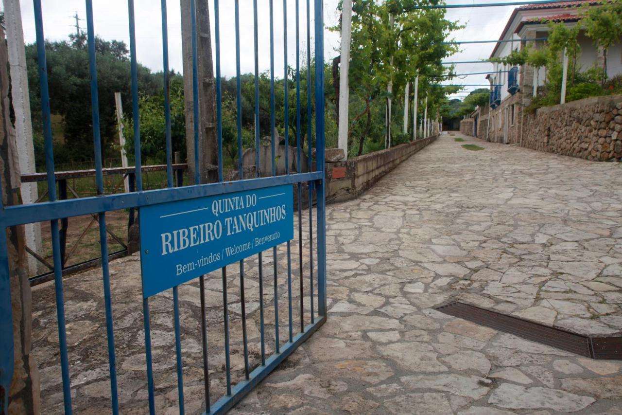 Tancos Quinta Ribeiro Tanquinhos 게스트하우스 외부 사진