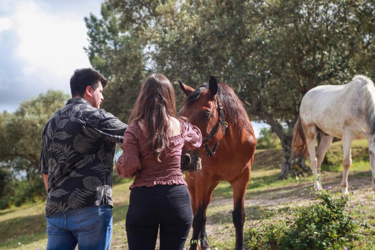 Tancos Quinta Ribeiro Tanquinhos 게스트하우스 외부 사진