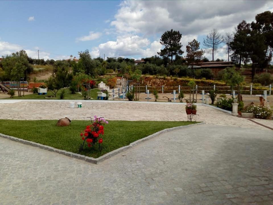 Tancos Quinta Ribeiro Tanquinhos 게스트하우스 외부 사진