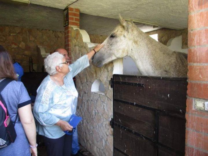 Tancos Quinta Ribeiro Tanquinhos 게스트하우스 외부 사진
