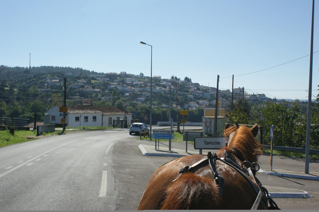 Tancos Quinta Ribeiro Tanquinhos 게스트하우스 외부 사진