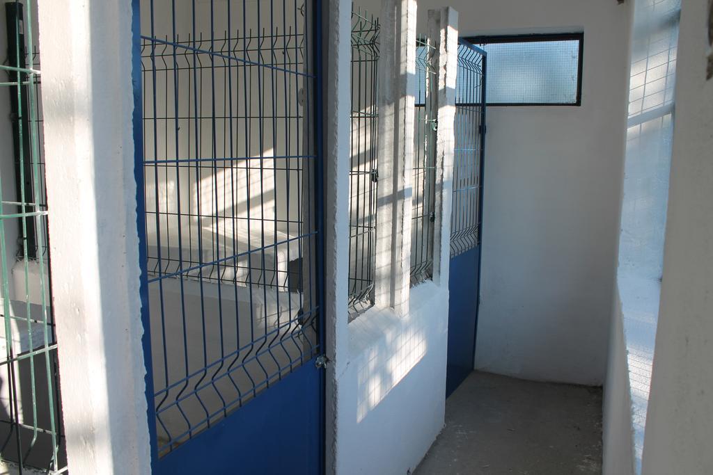 Tancos Quinta Ribeiro Tanquinhos 게스트하우스 외부 사진