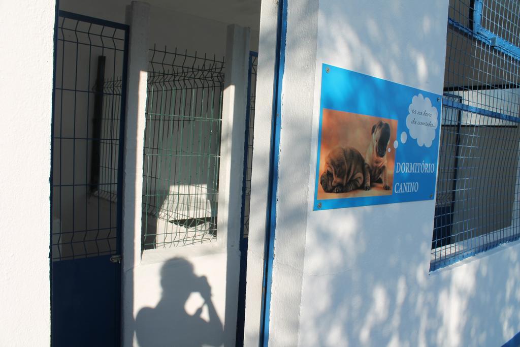 Tancos Quinta Ribeiro Tanquinhos 게스트하우스 외부 사진