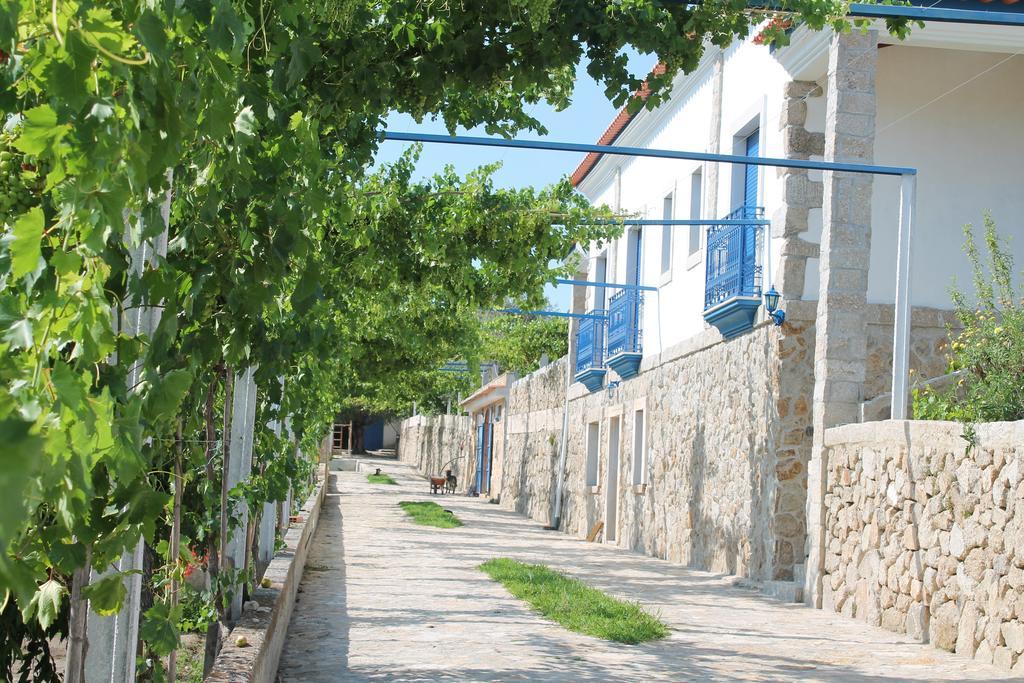 Tancos Quinta Ribeiro Tanquinhos 게스트하우스 외부 사진