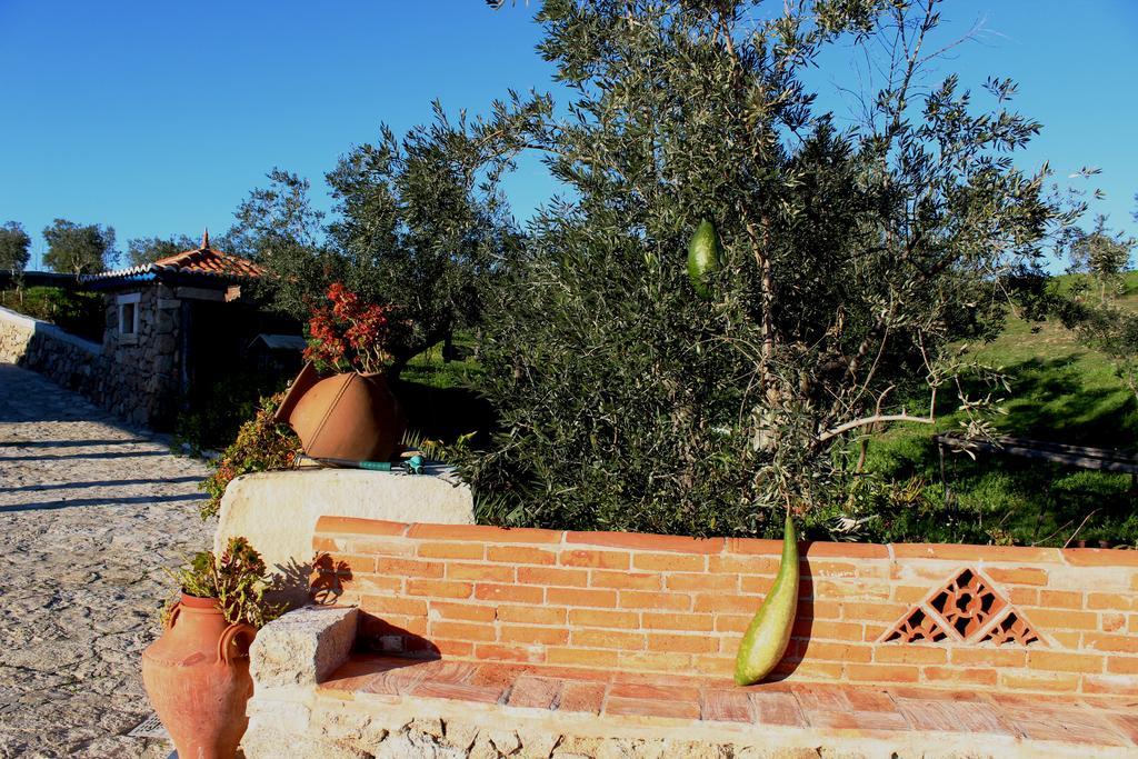 Tancos Quinta Ribeiro Tanquinhos 게스트하우스 외부 사진