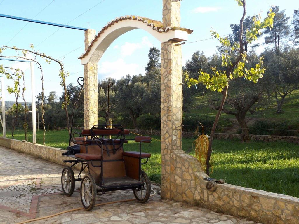 Tancos Quinta Ribeiro Tanquinhos 게스트하우스 외부 사진