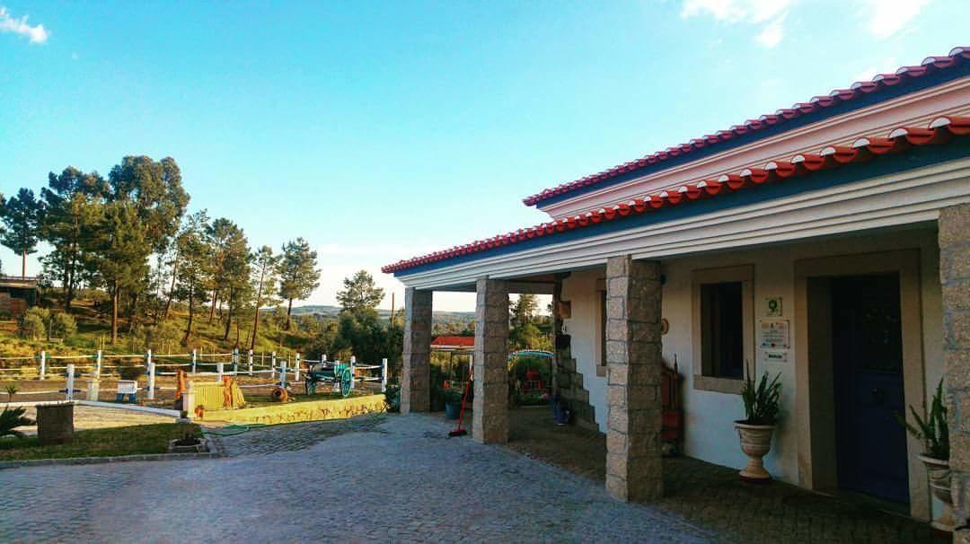 Tancos Quinta Ribeiro Tanquinhos 게스트하우스 외부 사진