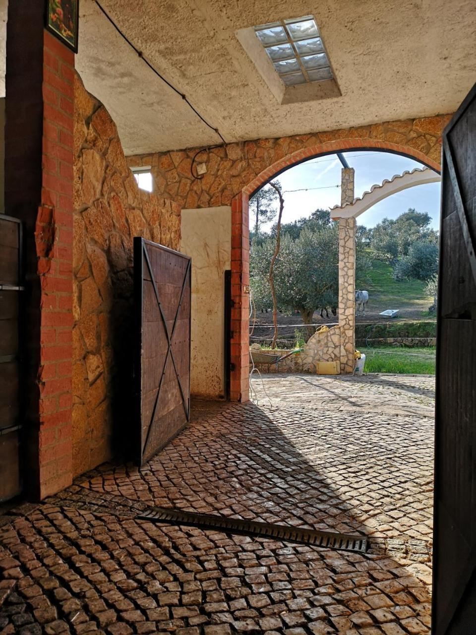 Tancos Quinta Ribeiro Tanquinhos 게스트하우스 외부 사진