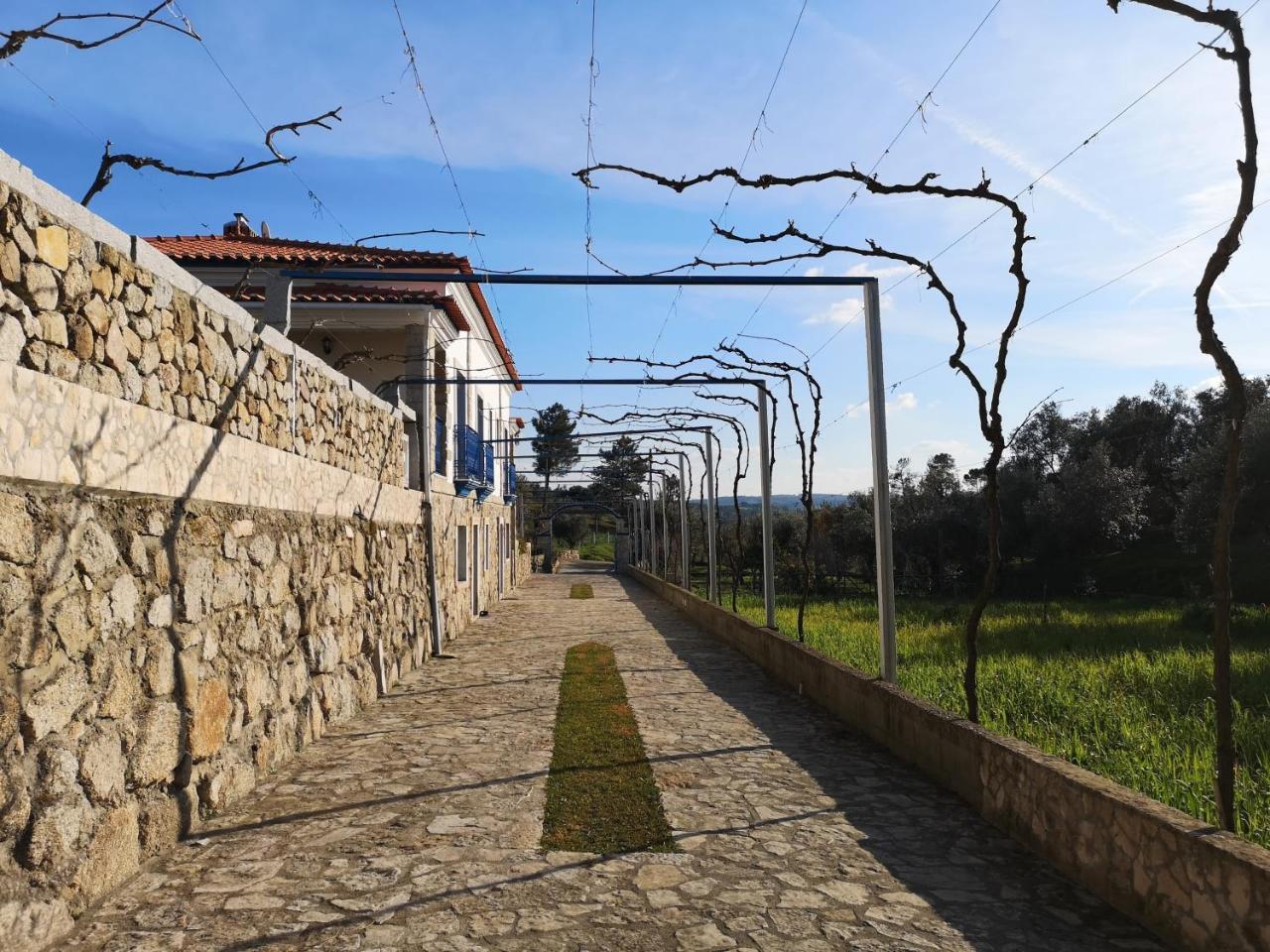 Tancos Quinta Ribeiro Tanquinhos 게스트하우스 외부 사진